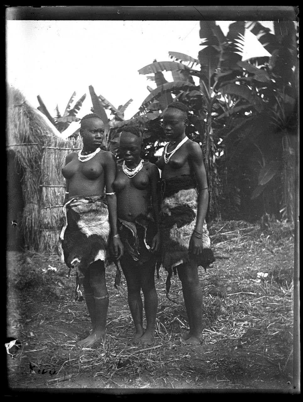 Paesi africani, Colonialismo, Compagnie coloniali; Sesti (negativo) di Giuseppe Carlo Sesti (fine/ inizio XIX-XX)