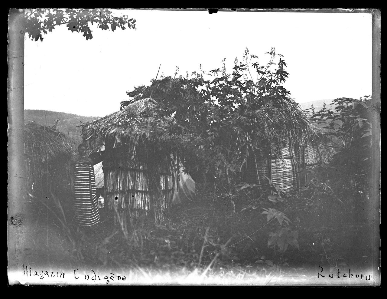 Paesi africani, Colonialismo, Compagnie coloniali; Sesti (negativo) di Giuseppe Carlo Sesti (fine/ inizio XIX-XX)