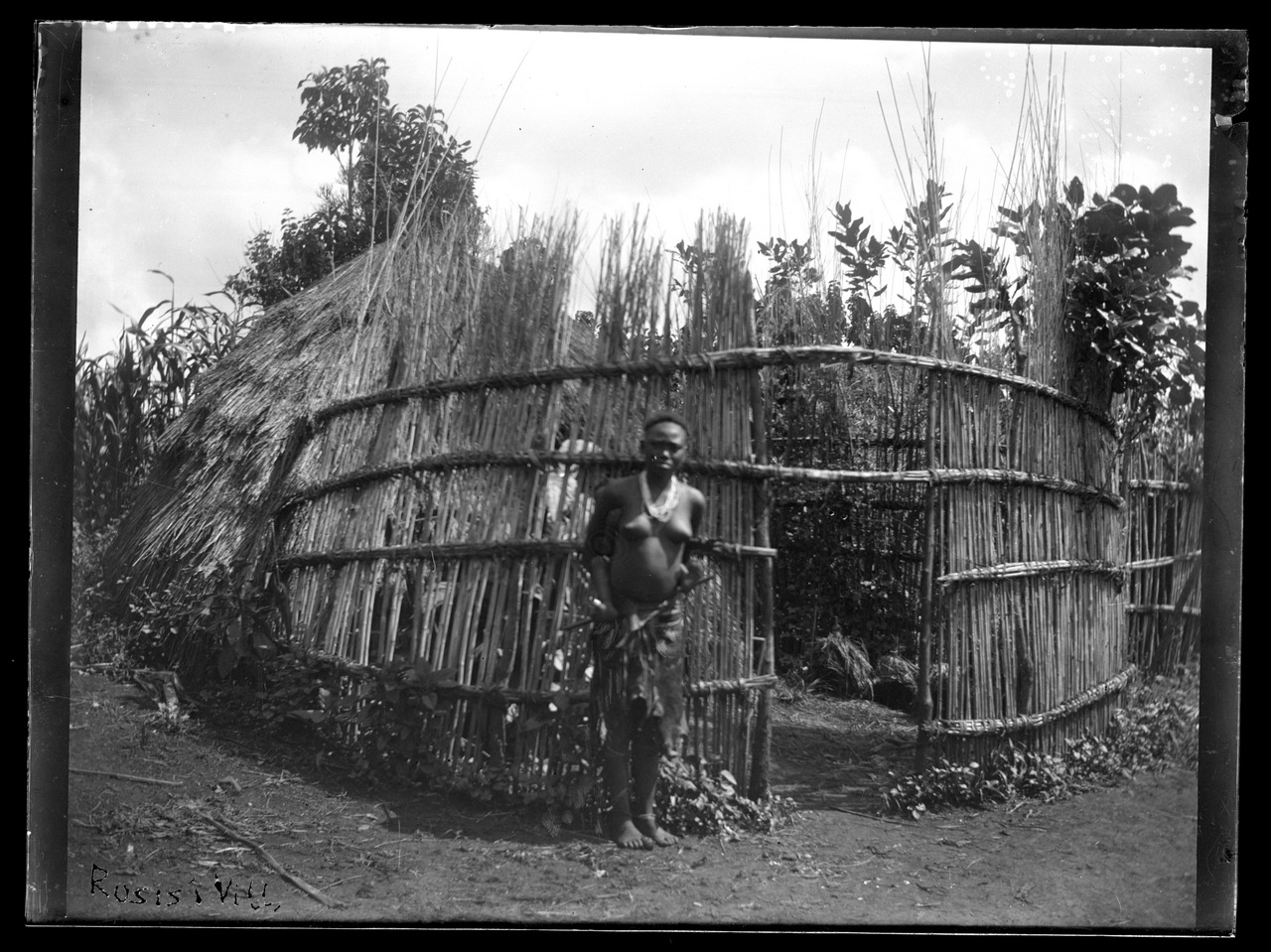 Paesi africani, Colonialismo, Compagnie coloniali; Sesti (negativo) di Giuseppe Carlo Sesti (fine/ inizio XIX-XX)