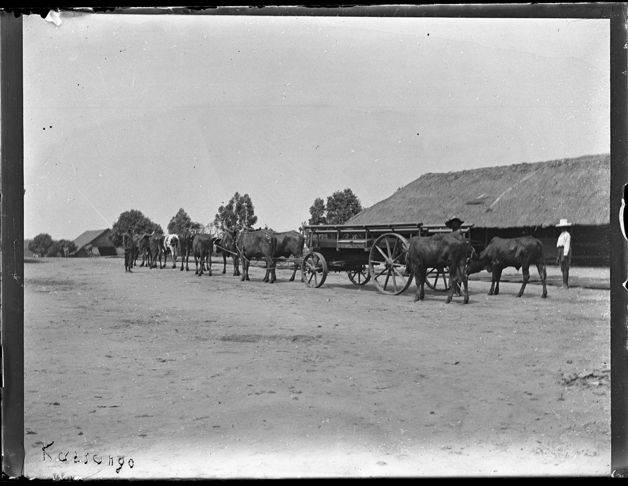 Paesi africani, Colonialismo, Compagnie coloniali; Sesti (negativo) di Giuseppe Carlo Sesti (fine/ inizio XIX-XX)