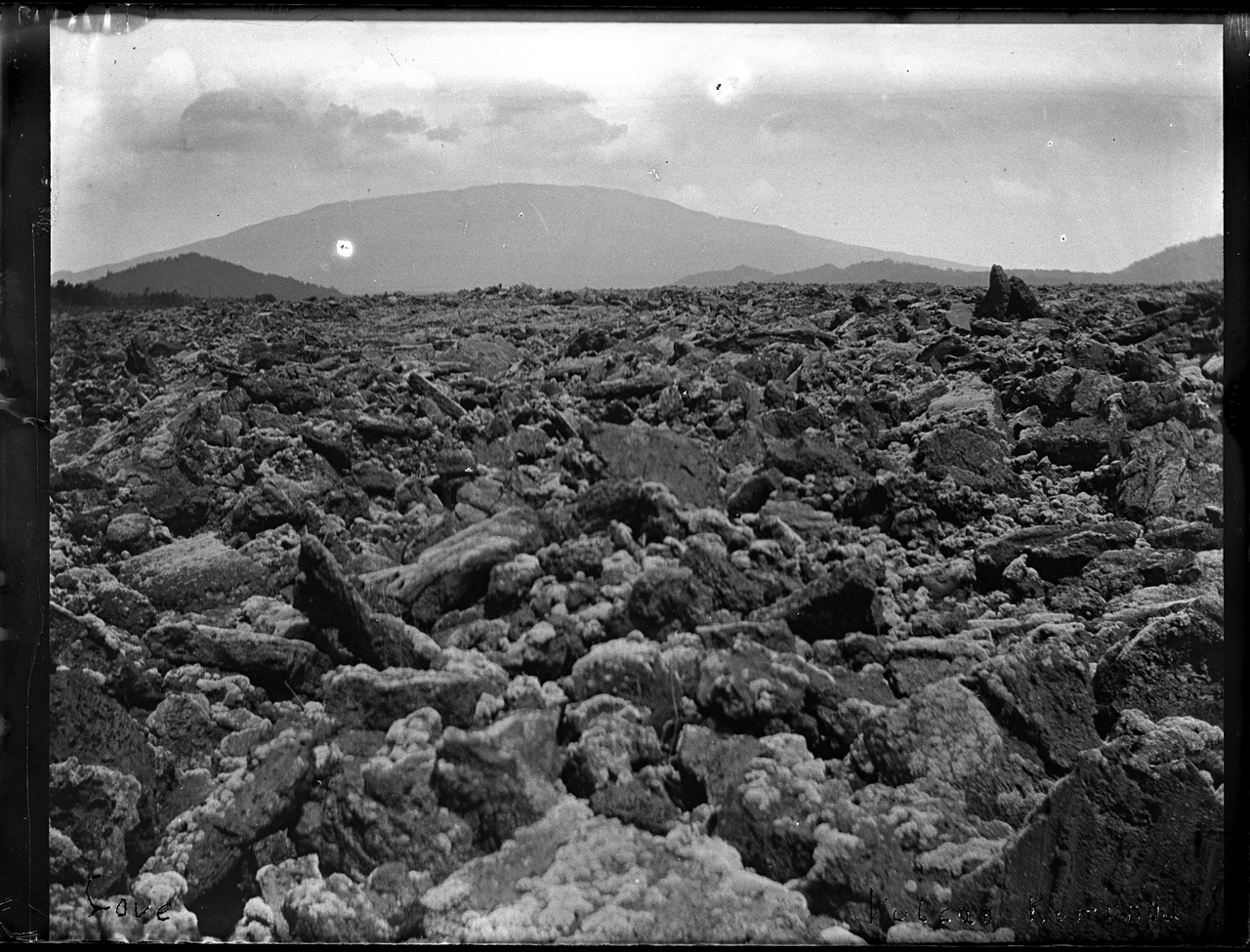 Paesi africani, Colonialismo, Compagnie coloniali; Sesti (negativo) di Giuseppe Carlo Sesti (fine/ inizio XIX-XX)