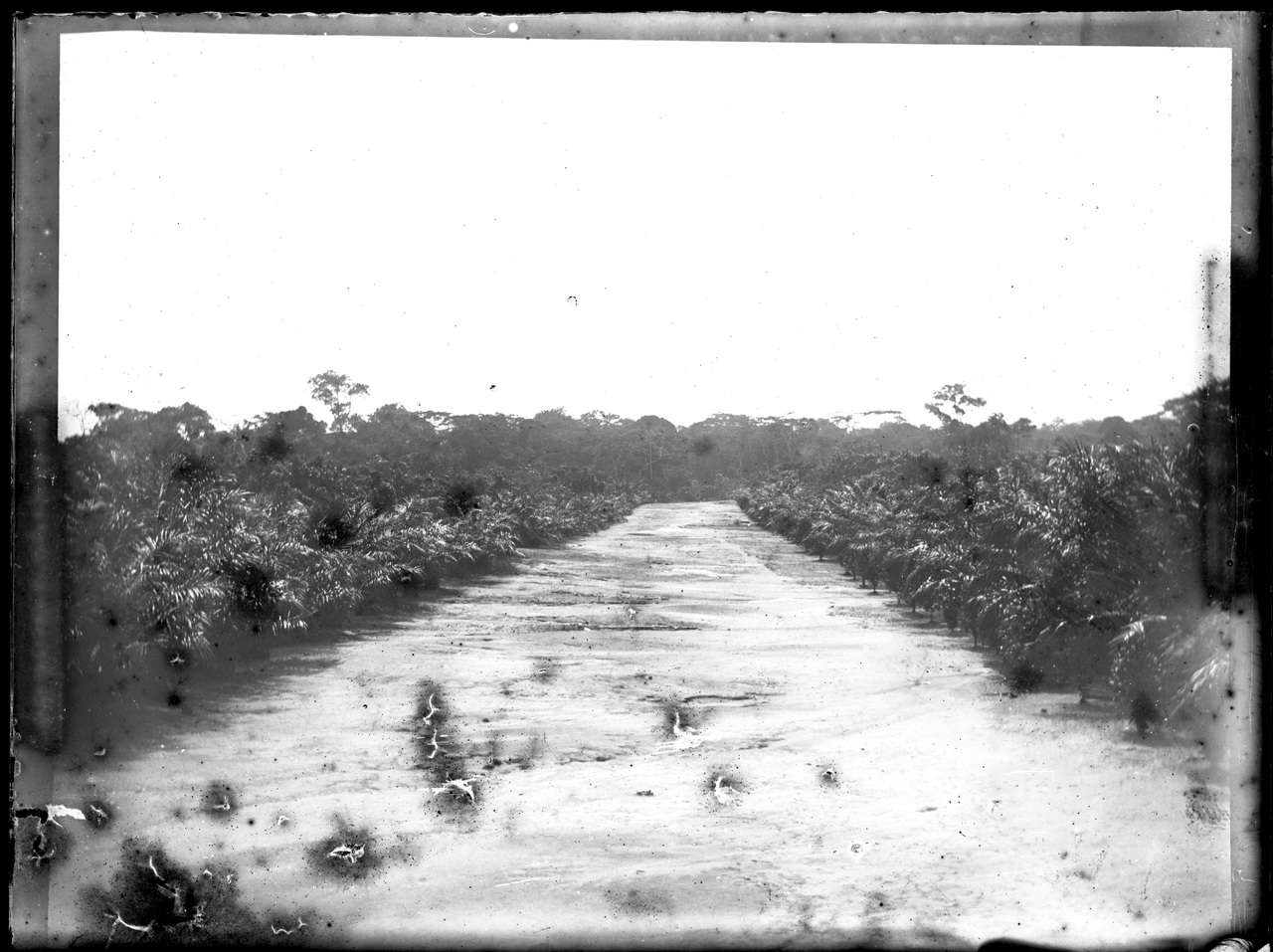 Paesi africani, Colonialismo, Compagnie coloniali; Sesti (negativo) di Giuseppe Carlo Sesti (fine/ inizio XIX-XX)