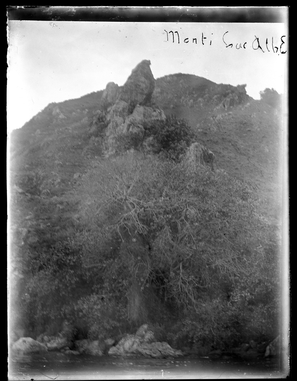 Paesi africani, Colonialismo, Compagnie coloniali; Sesti (negativo) di Giuseppe Carlo Sesti (fine/ inizio XIX-XX)