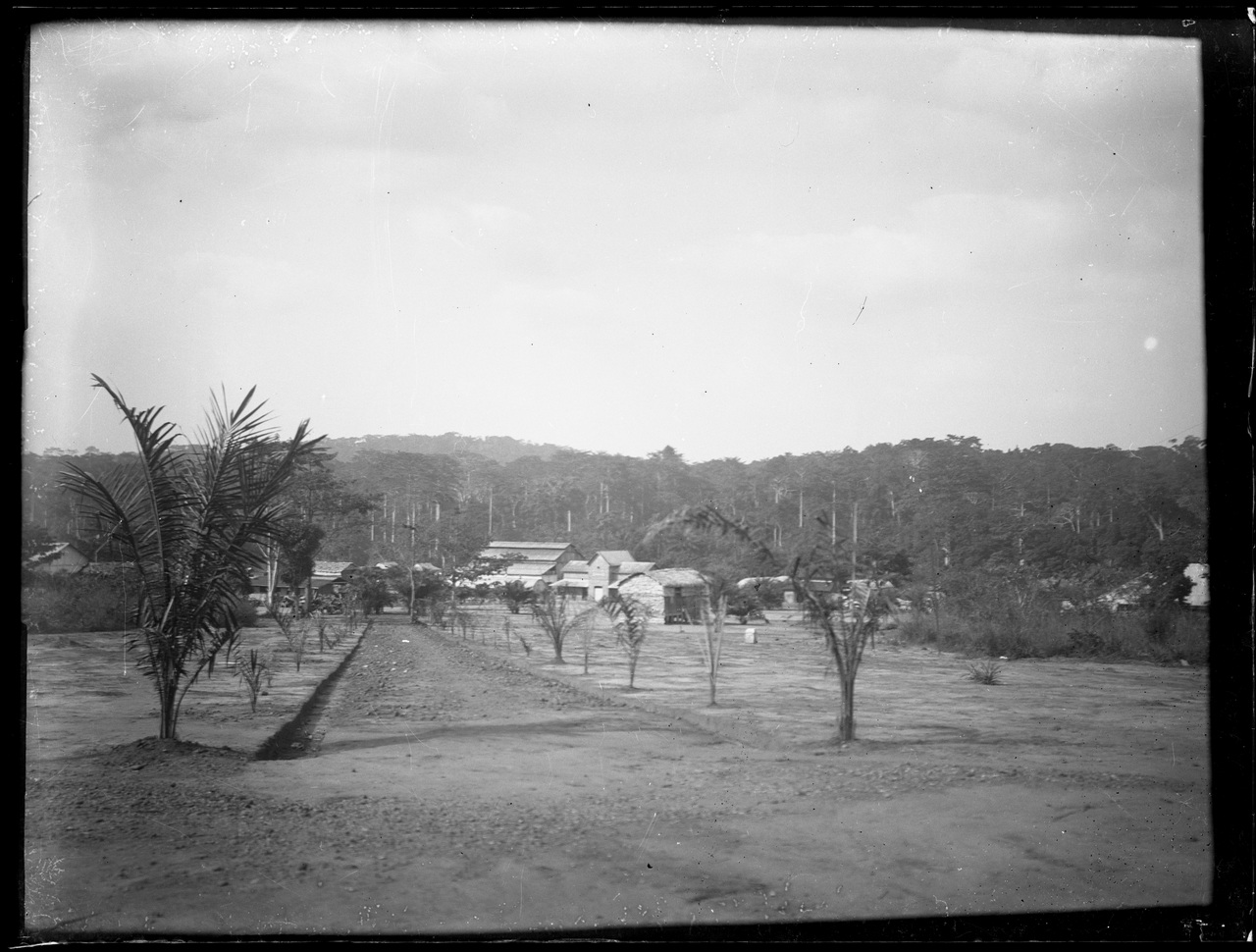 Paesi africani, Colonialismo, Compagnie coloniali; Sesti (negativo) di Giuseppe Carlo Sesti (fine/ inizio XIX-XX)