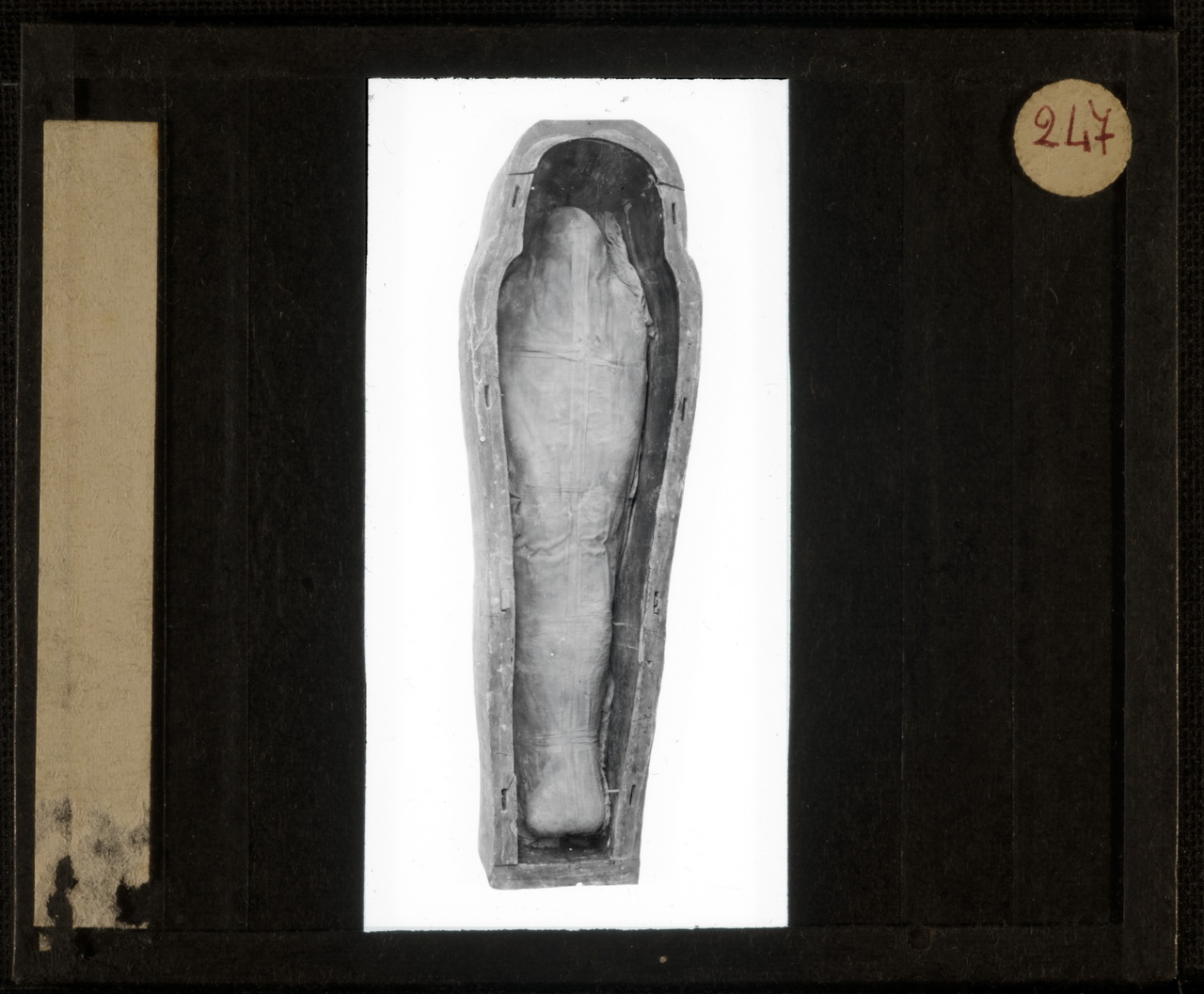 Archeologia, Egittologia, Didattica (positivo) di Marro, Giovanni (attribuito) - Didattica scientifica (prima metà XX)