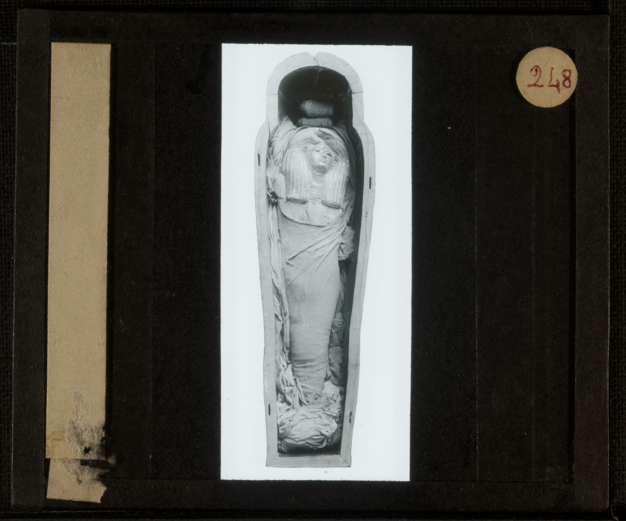 Marro, Oggetti di scavo egizi, Arte egizia, Mummia (positivo) di Marro, Giovanni (attribuito) - Didattica scientifica (prima metà XX)