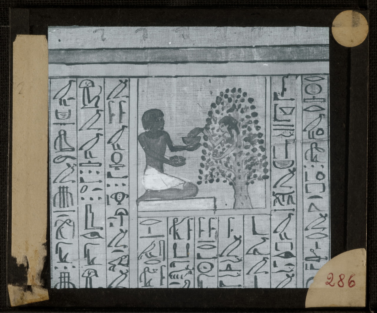 Archeologia, Egittologia, Didattica (positivo) di Marro, Giovanni (attribuito) - Didattica scientifica (prima metà XX)