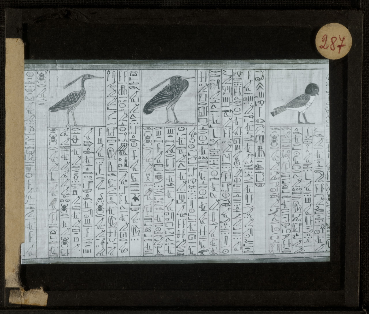 Archeologia, Egittologia, Didattica (positivo) di Marro, Giovanni (attribuito) - Didattica scientifica (prima metà XX)