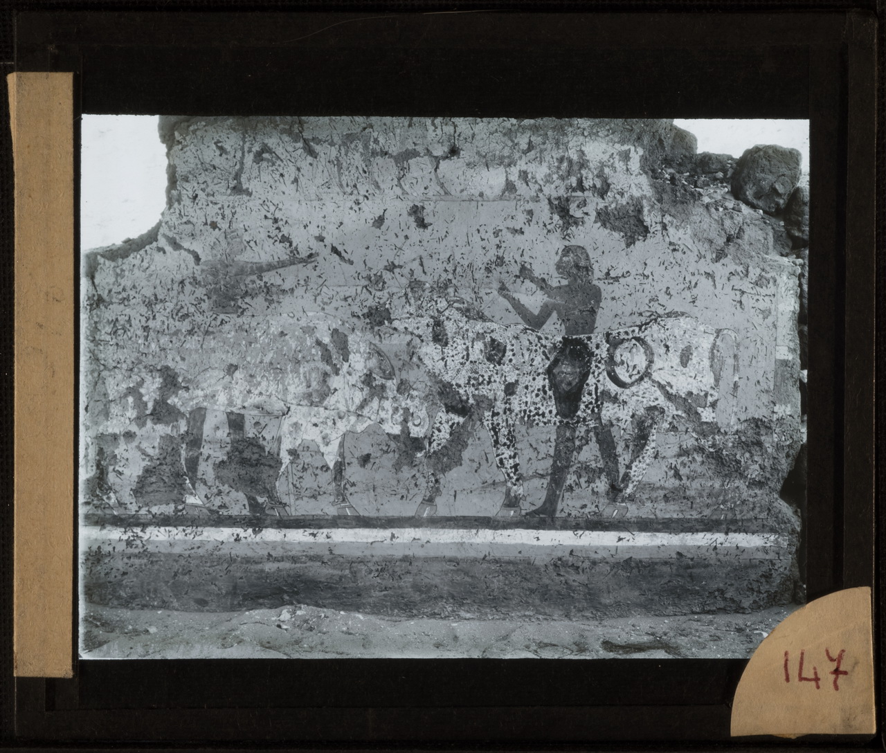 Archeologia, Egittologia, Didattica (positivo) di Marro, Giovanni (attribuito), Rosa, Virginio (attribuito) (prima metà XX)