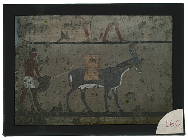 Archeologia, Egittologia, Didattica (positivo) di Marro, Giovanni (attribuito) - Didattica scientifica (prima metà XX)