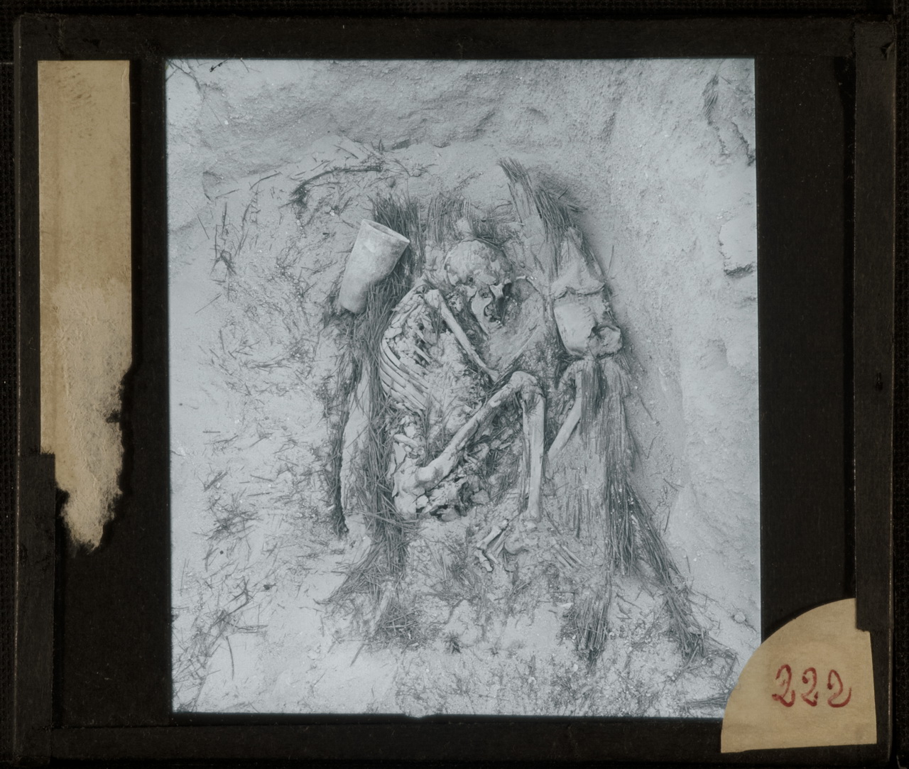 Archeologia, Egittologia, Didattica, Marro (positivo) di Marro, Giovanni (attribuito) - Didattica scientifica (prima metà XX)