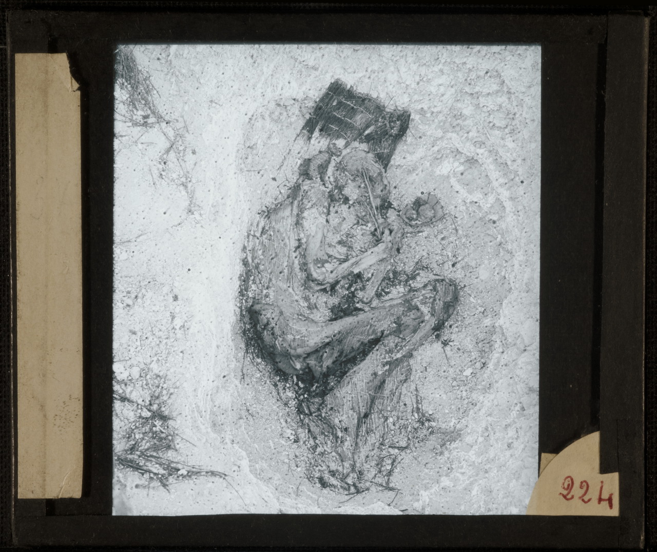 Archeologia, Egittologia, Didattica, Marro (positivo) di Marro, Giovanni (attribuito) - Didattica scientifica (prima metà XX)