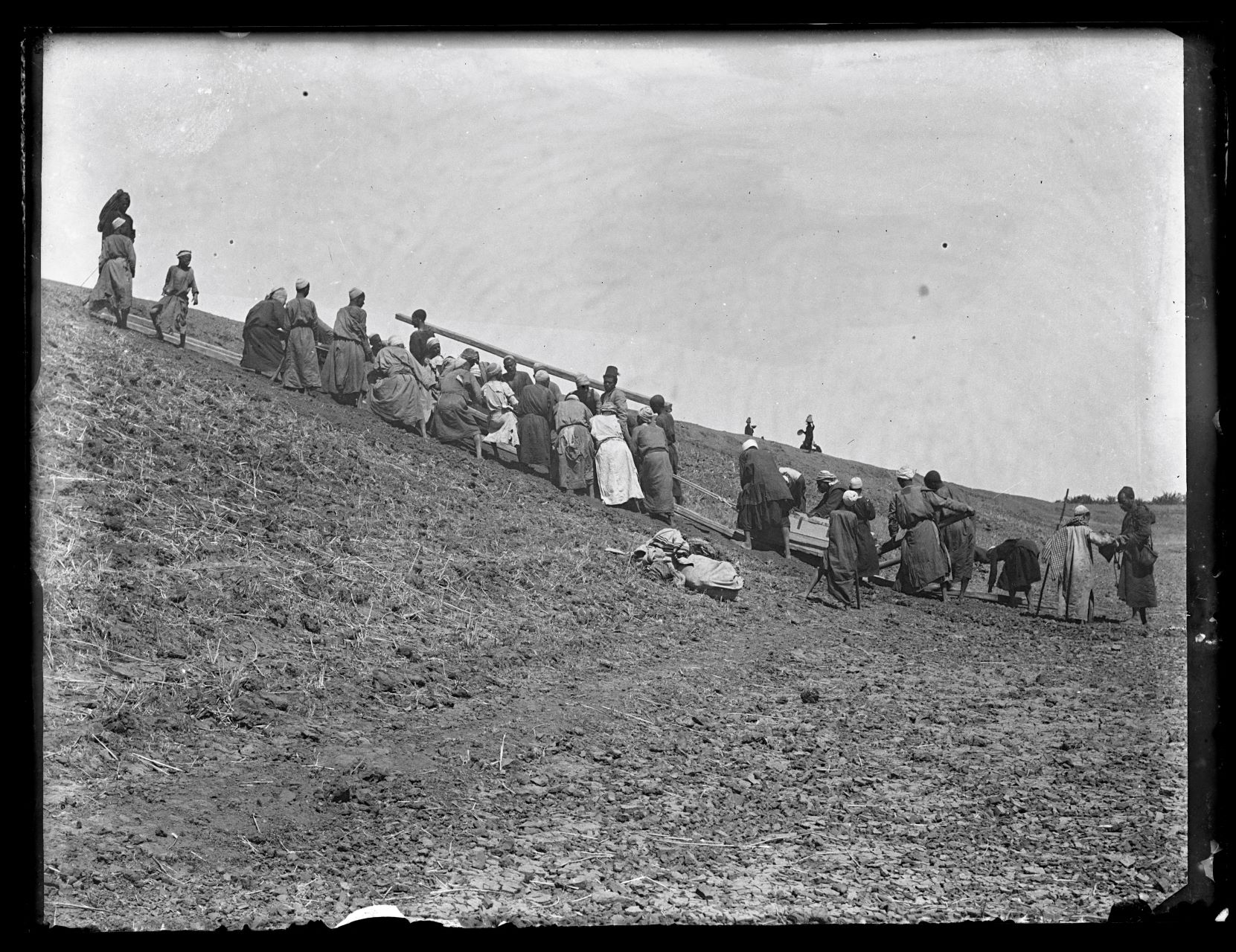 Operai, Egiziani (negativo) di Marro, Giovanni (attribuito) - Missione Archeologia Italiana in Egitto (prima metà XX)