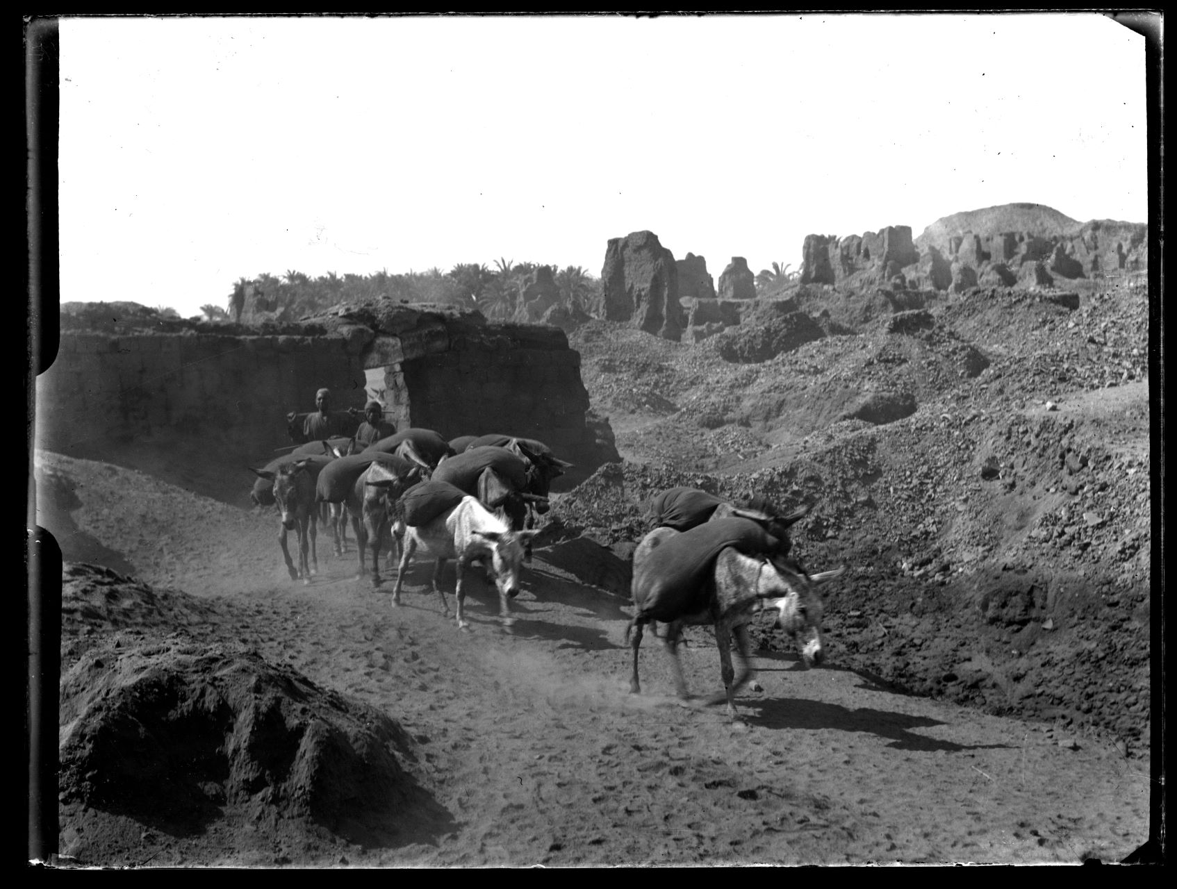 Spedizioni Archeologiche Italiane, Egittologia (negativo) di Marro, Giovanni (attribuito) - Missione Archeologia Italiana in Egitto (prima metà XX)