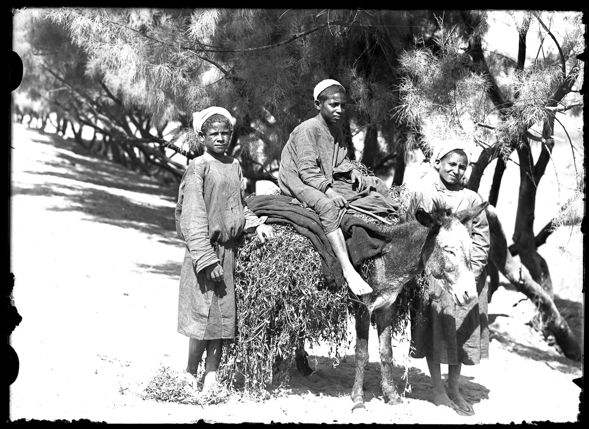 Marro, Ritratti fotografici, Bambini, Asino (negativo) di Marro, Giovanni (attribuito) - Missione Archeologia Italiana in Egitto (prima metà XX)