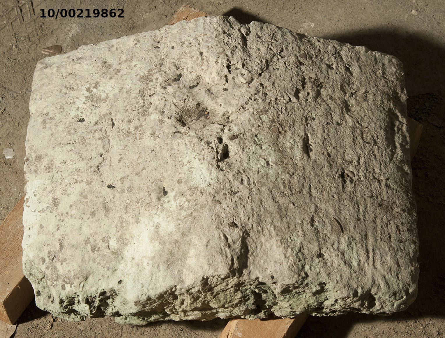 liscio displuviato (urna/ cineraria, coperchio) (SECOLI/ ARCHI DI SECOLI/ III-I a.C)