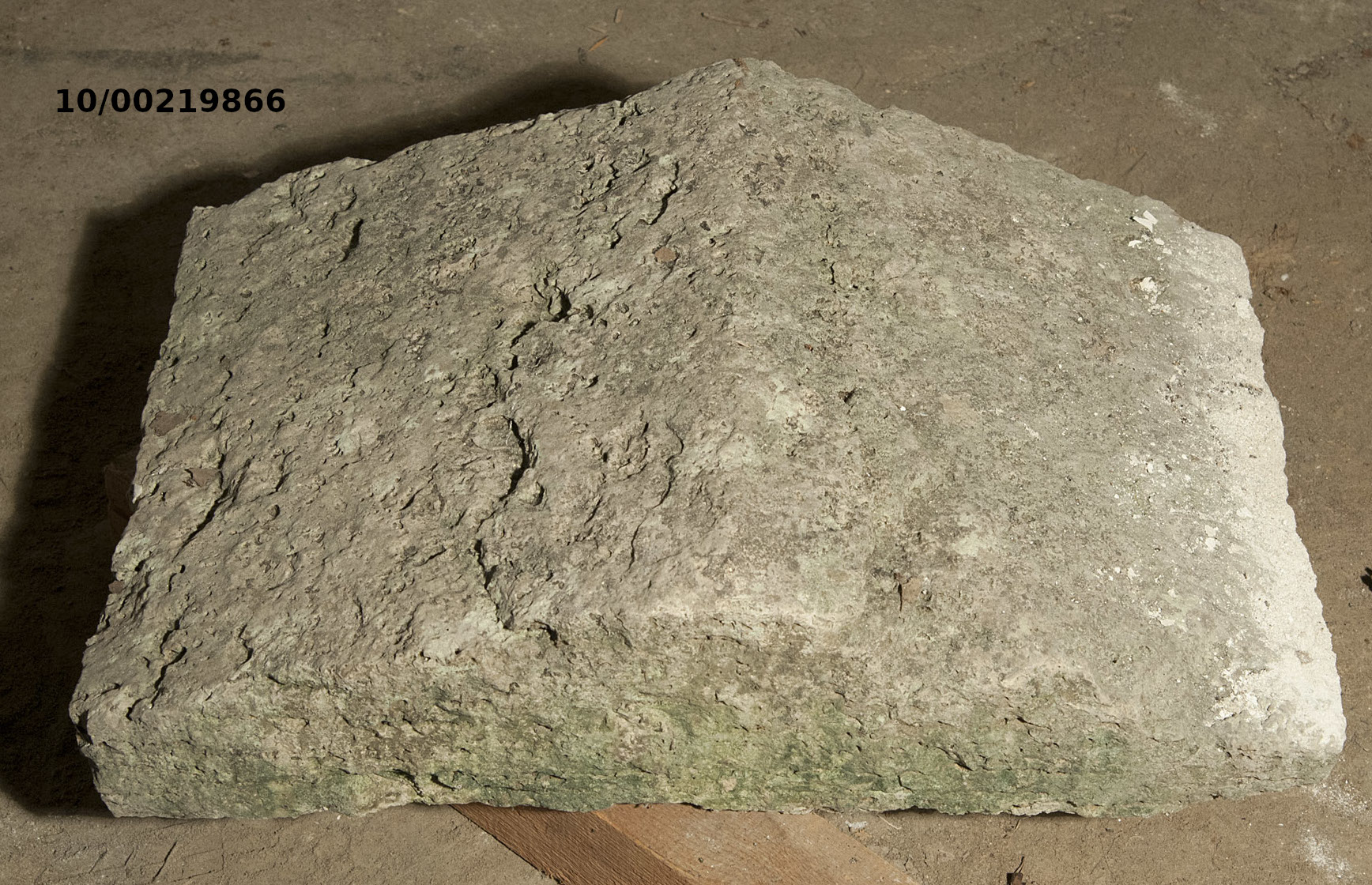 liscio displuviato (urna/ cineraria, coperchio) (SECOLI/ II a.C)