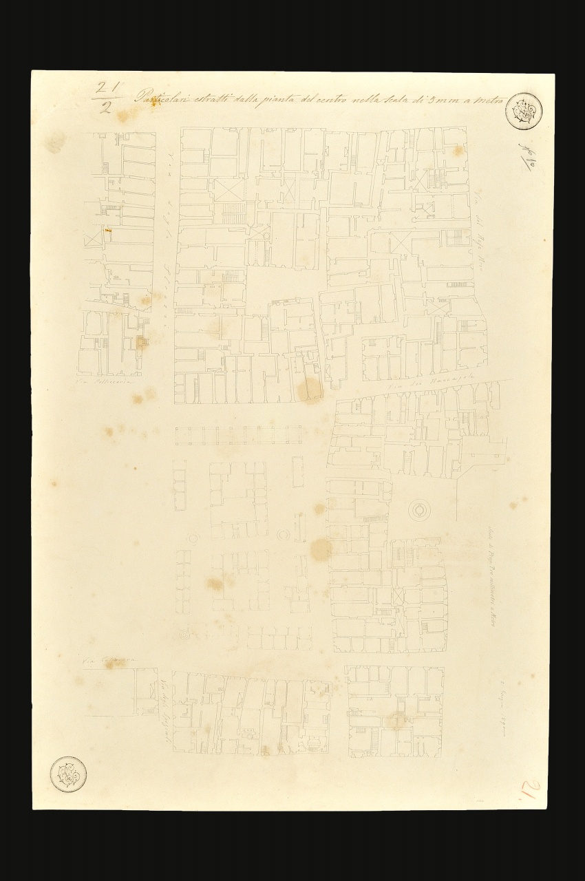 motivo decorativo (stampa) di Corinti Corinto (fine sec. XIX)