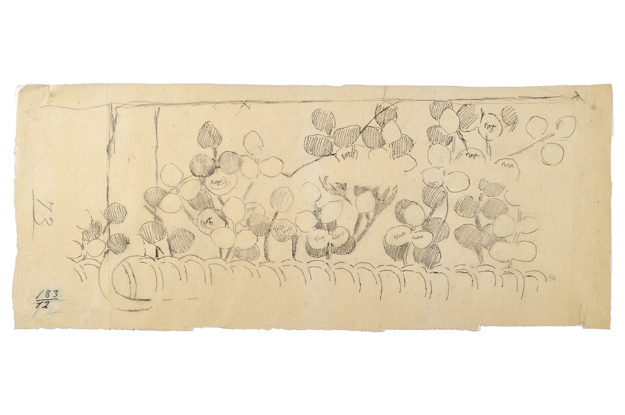 motivo decorativo (disegno) - ambito fiorentino (fine sec. XIX)