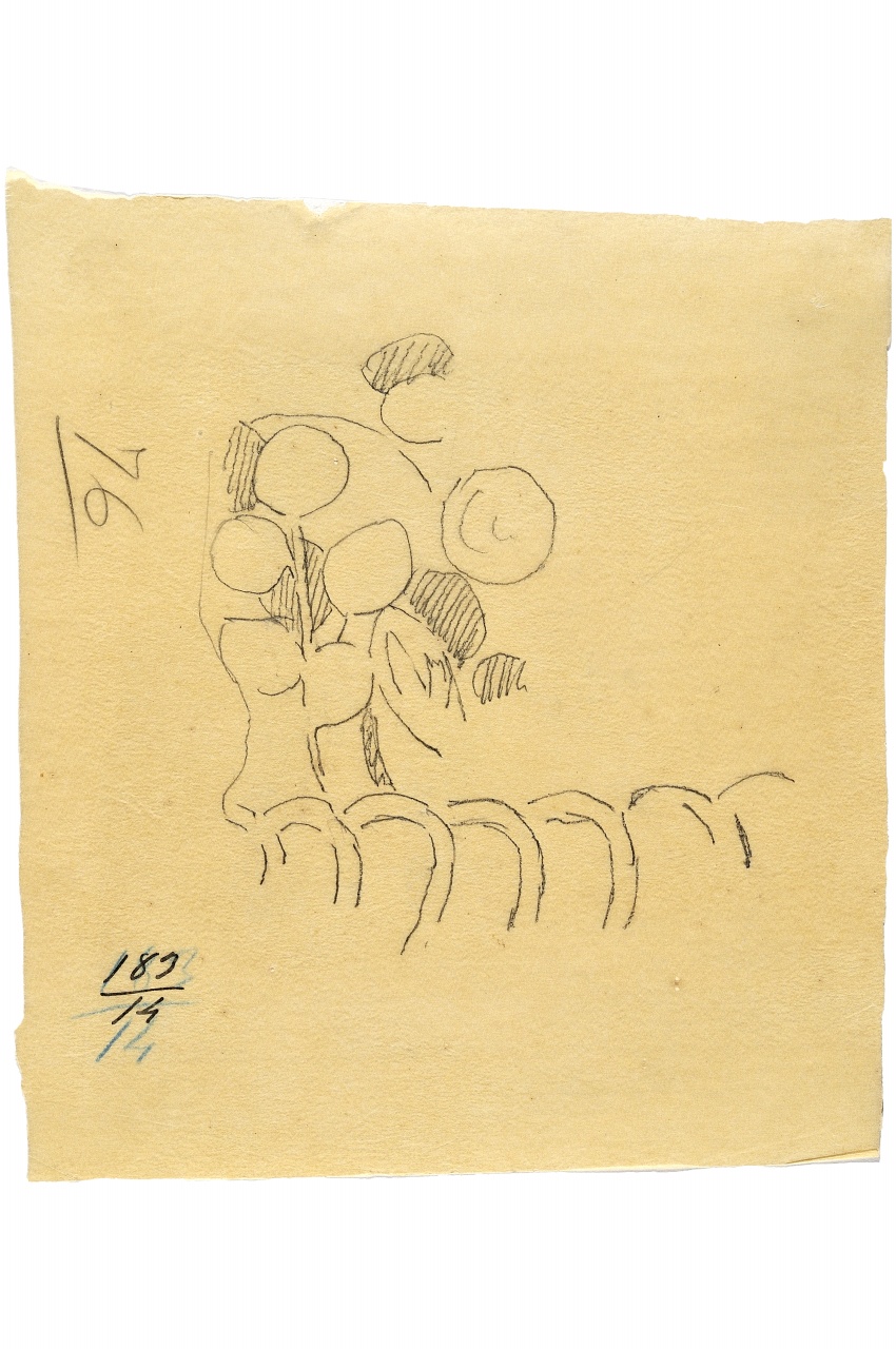 motivo decorativo (disegno) - ambito fiorentino (fine sec. XIX)