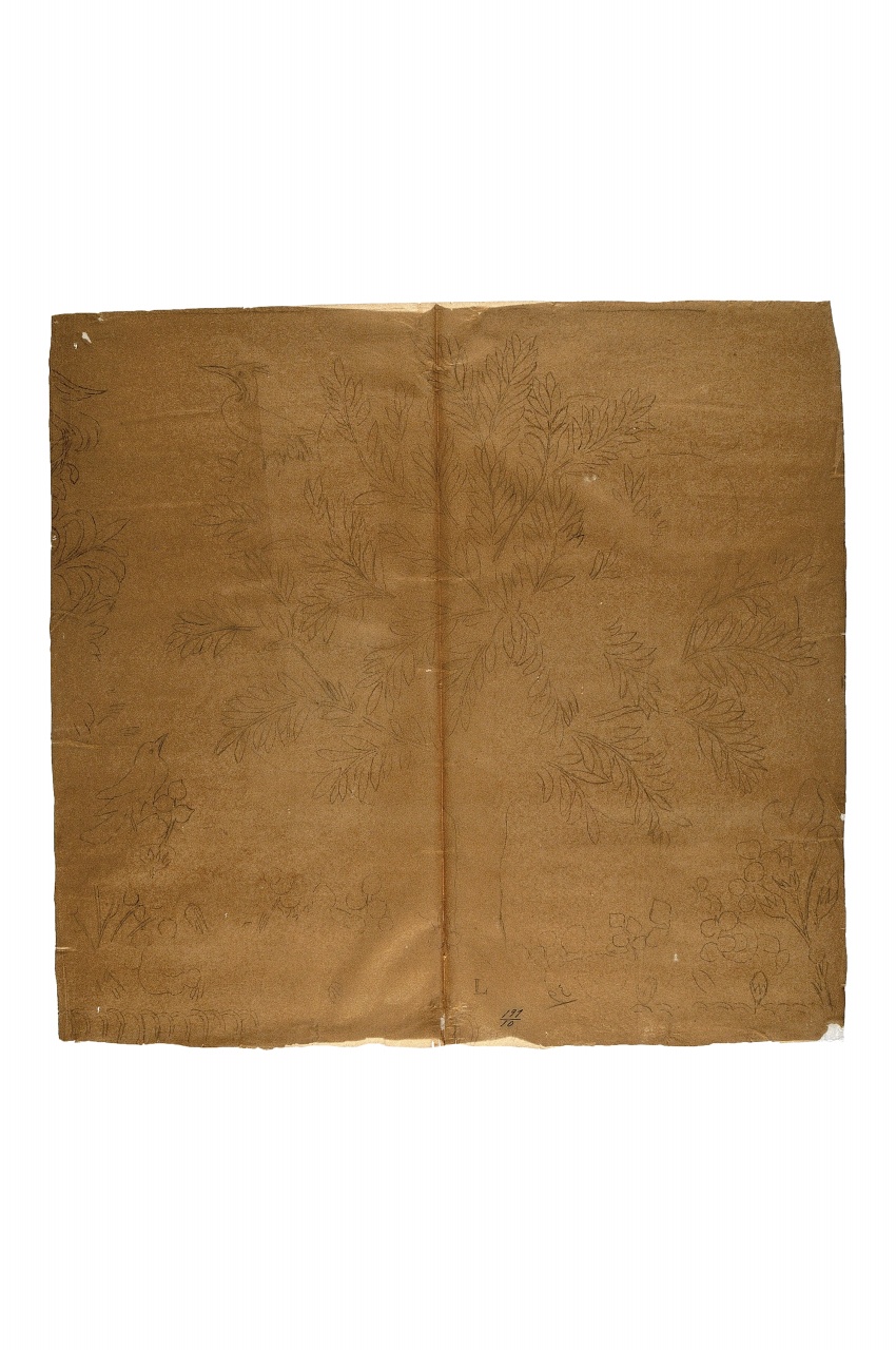 motivo decorativo (disegno) - ambito fiorentino (fine sec. XIX)