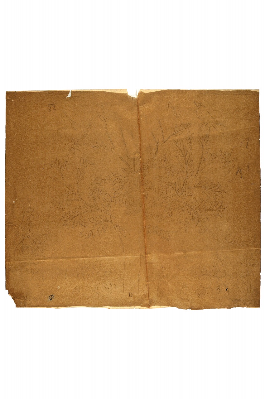 motivo decorativo (disegno) - ambito fiorentino (fine sec. XIX)