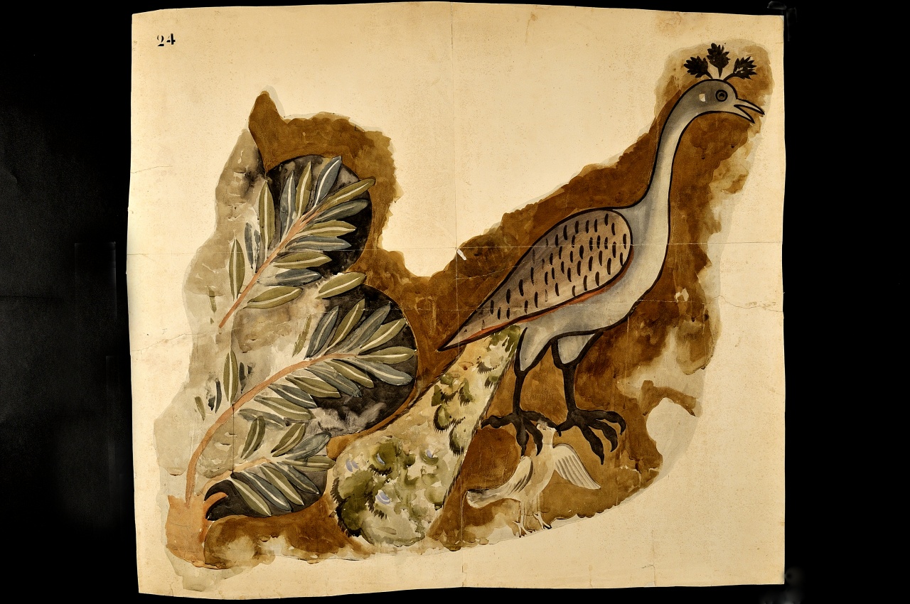 motivo decorativo (disegno) - ambito fiorentino (fine sec. XIX)