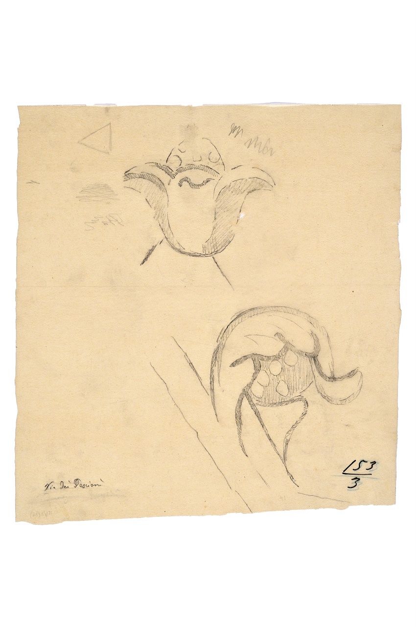 motivo decorativo (disegno) - ambito fiorentino (fine sec. XIX)