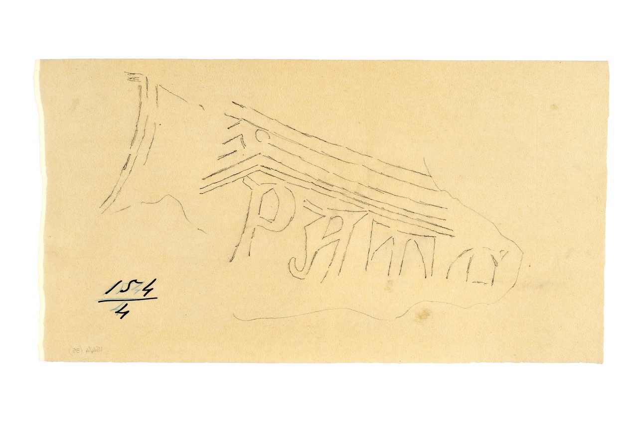 motivo decorativo (disegno) - ambito fiorentino (fine sec. XIX)