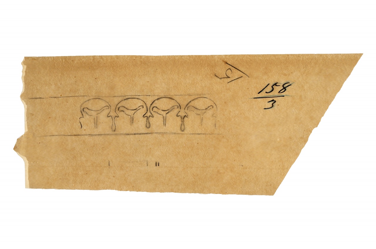 motivo decorativo (disegno) - ambito fiorentino (fine sec. XIX)