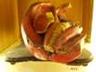 singolo reperto antropologico, Modello anatomico (SECOLI/ ARCHI DI SECOLI/ XVIII-XIX)