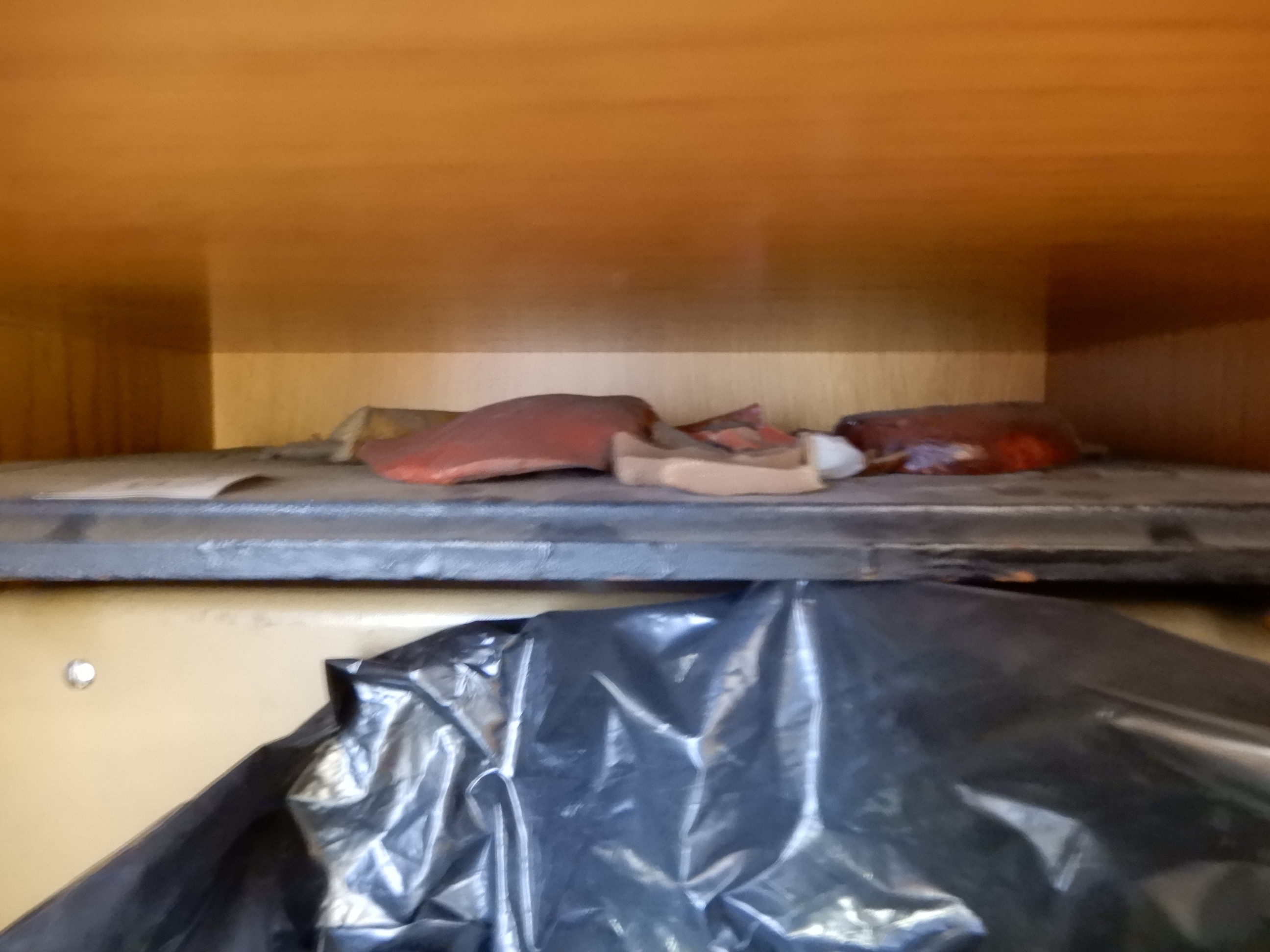 singolo reperto antropologico, Modello anatomico (SECOLI/ ARCHI DI SECOLI/ XVIII-XIX)