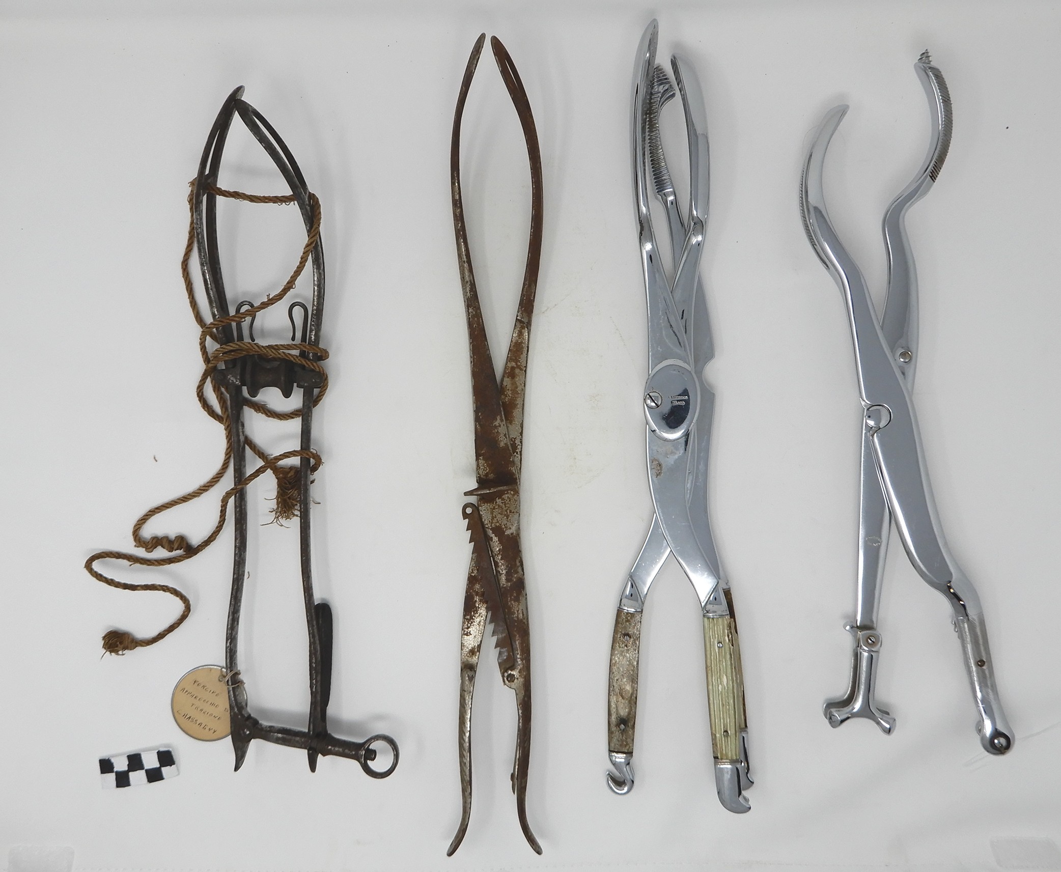 singolo reperto antropologico, Strumentario Storico-medico (SECOLI/ ARCHI DI SECOLI/ XVIII-XX)