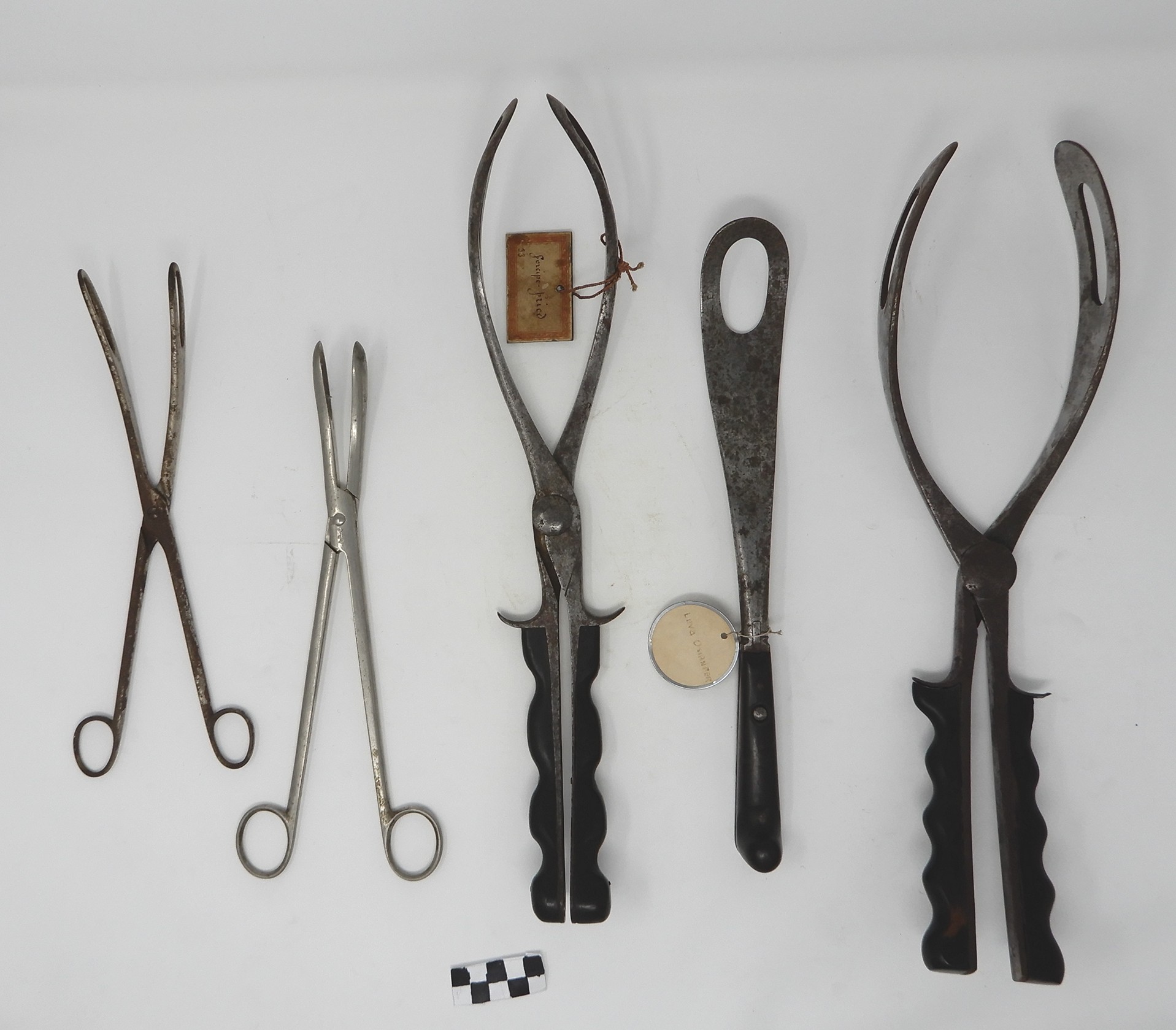 singolo reperto antropologico, Strumentario Storico-medico (SECOLI/ ARCHI DI SECOLI/ XVIII-XX)