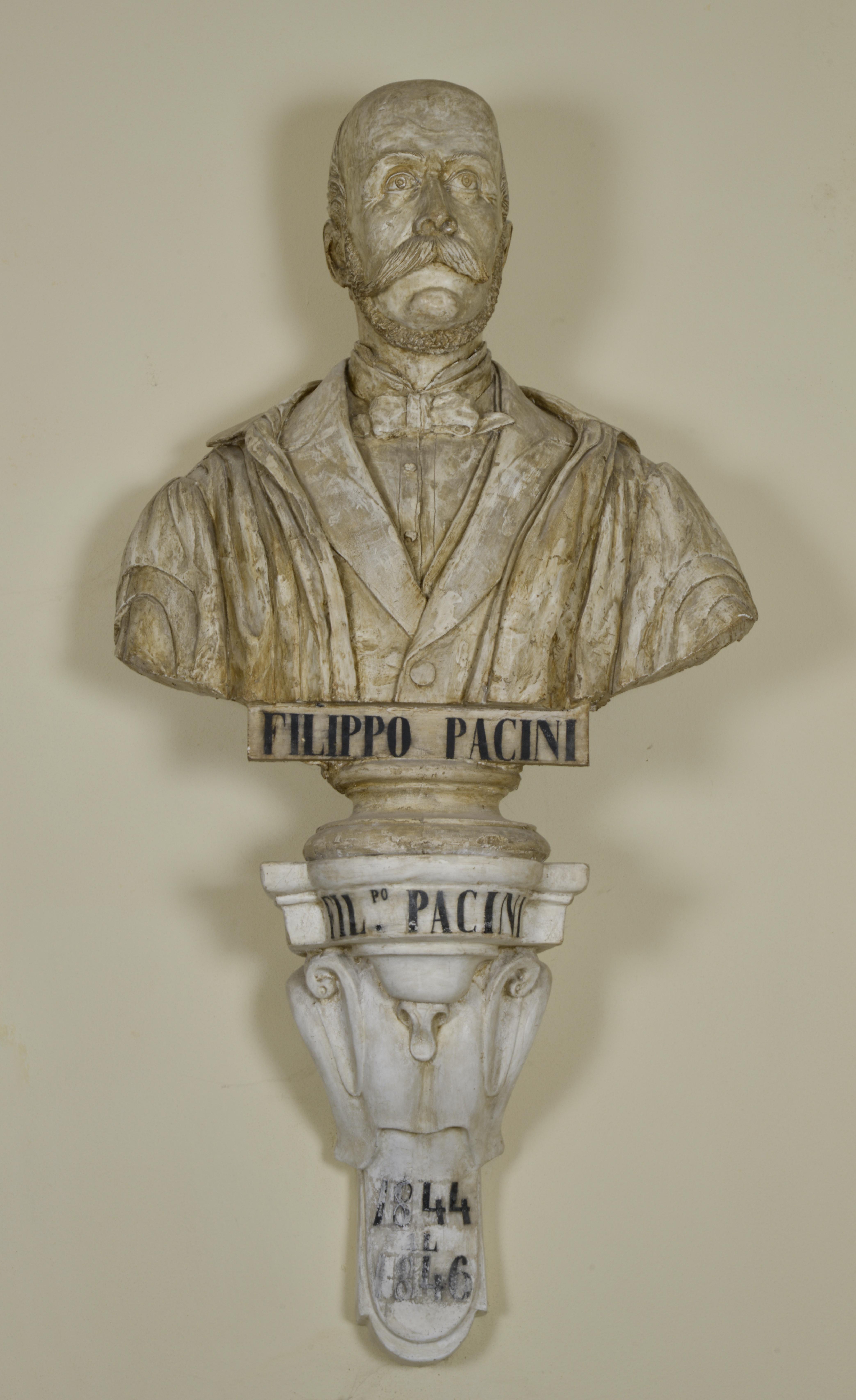 Ritratto di Filippo Pacini, Ritratto di uomo (scultura) di Birindelli Augusto (attribuito) (seconda metà XIX)