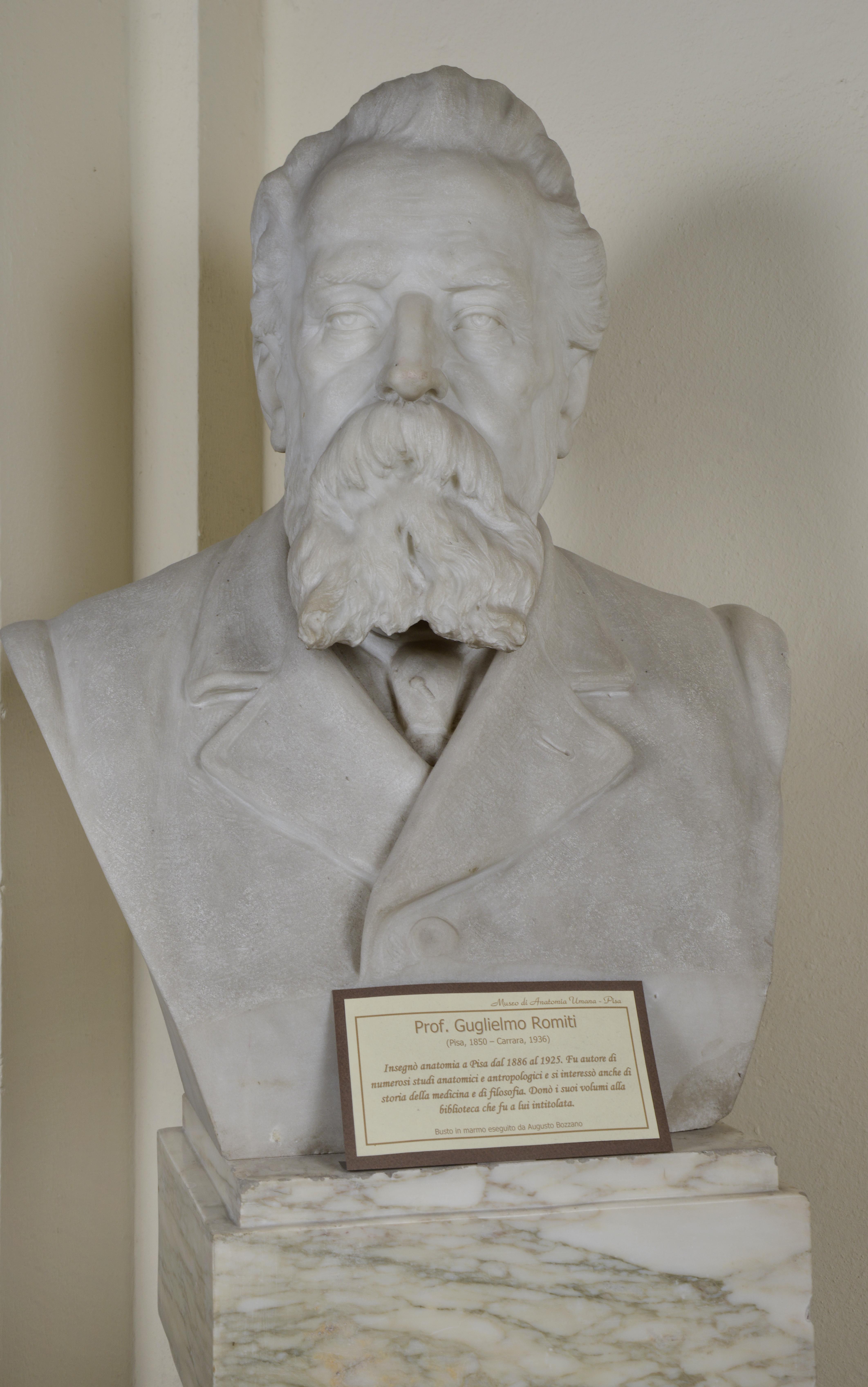 Prof. Guglielmo Romiti, ritratto maschile (scultura) di Bozzano Augusto (attribuito) (inizio/ metà XX)