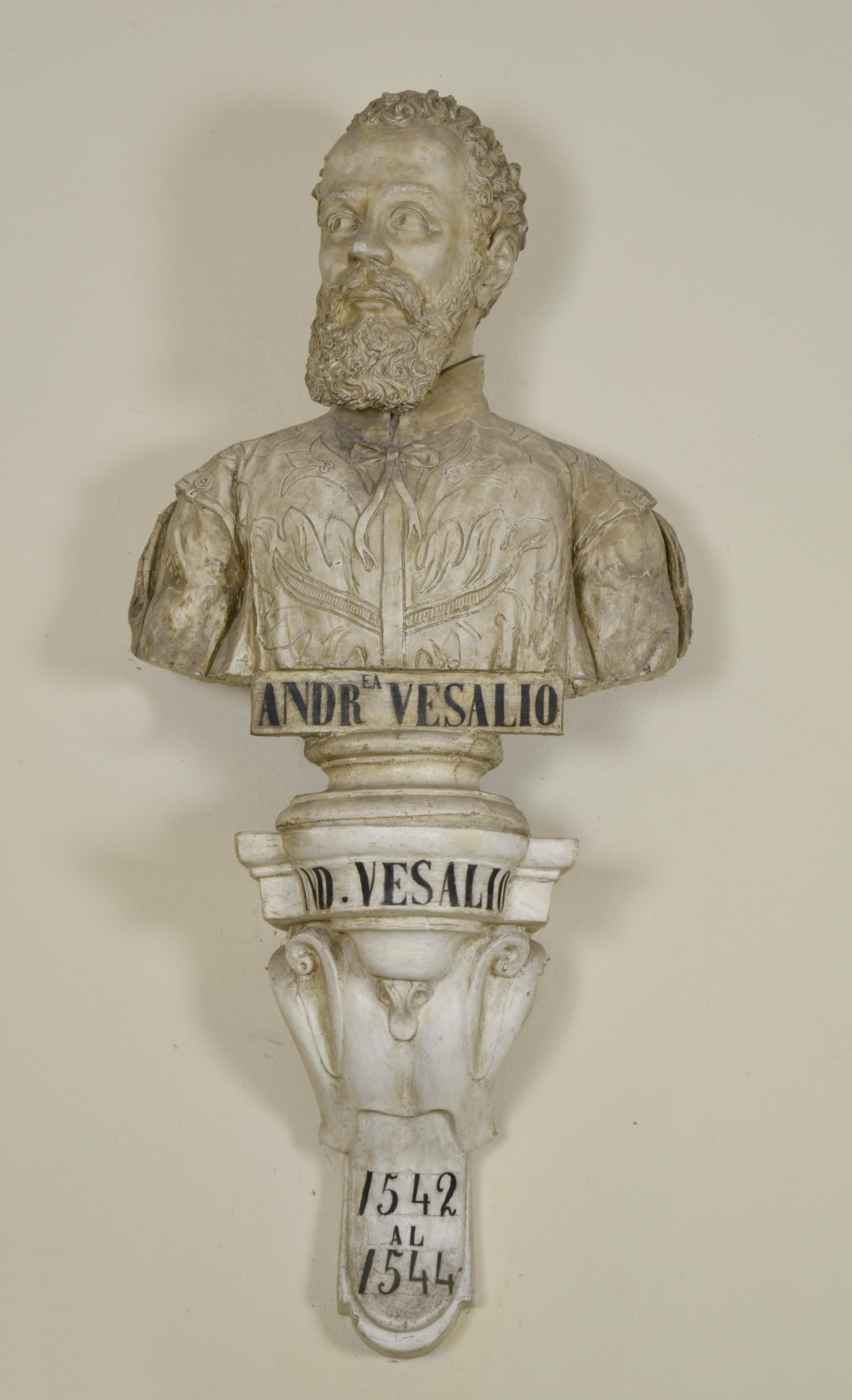 Ritratto di Andrea Vesalio, Ritratto di uomo (scultura) di Birindelli Augusto (attribuito) (XIX)