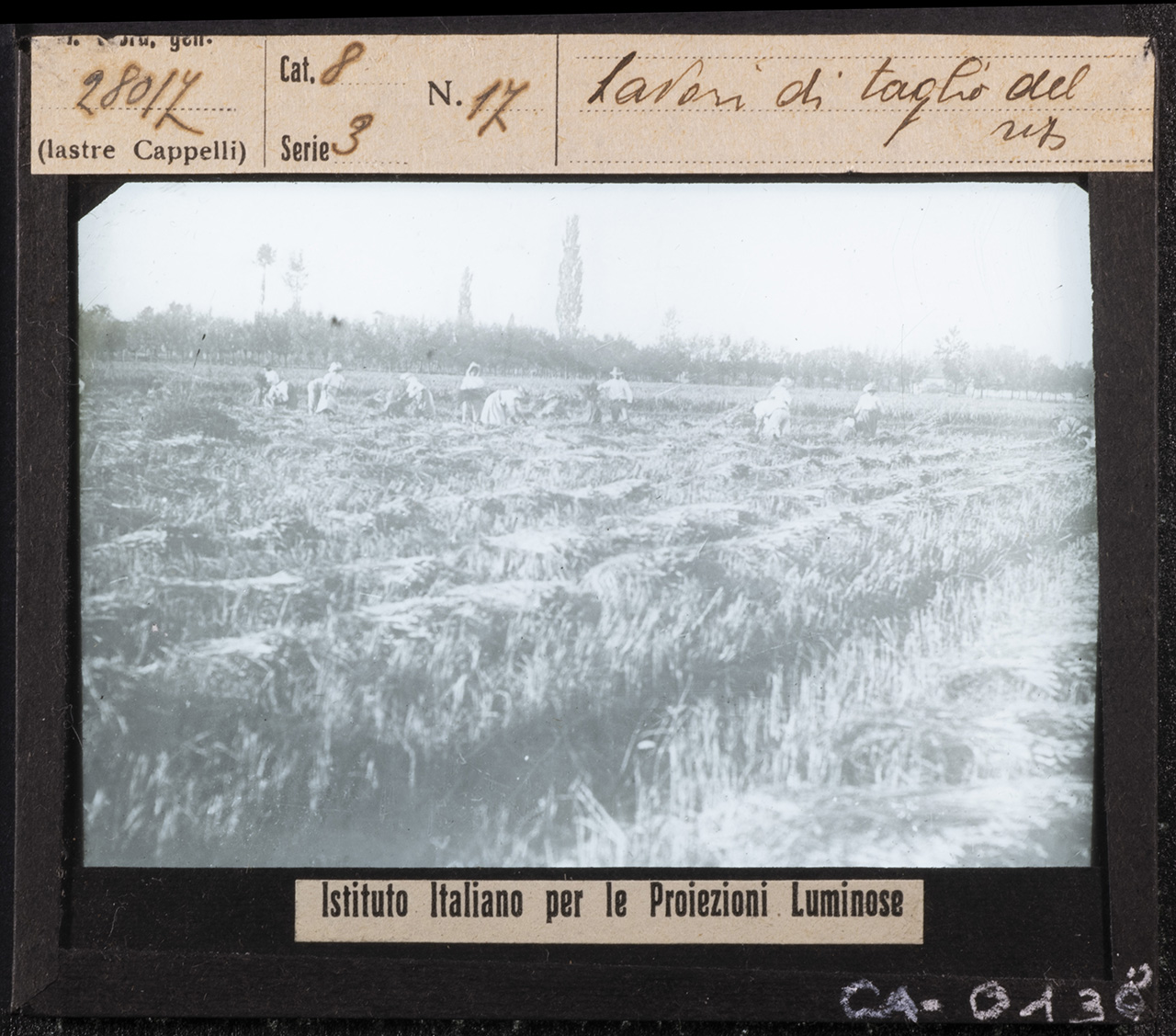 Agricoltura - Terreni agrari - Risaie - Lavoro agricolo (positivo) di Istituto Italiano per le Proiezioni Luminose (XX)