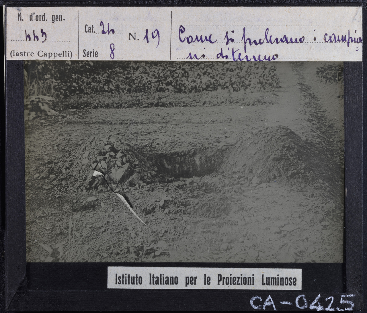 Analisi - Terreni - Terreni agrari (positivo) di Istituto Italiano per le Proiezioni Luminose (prima metà XX)