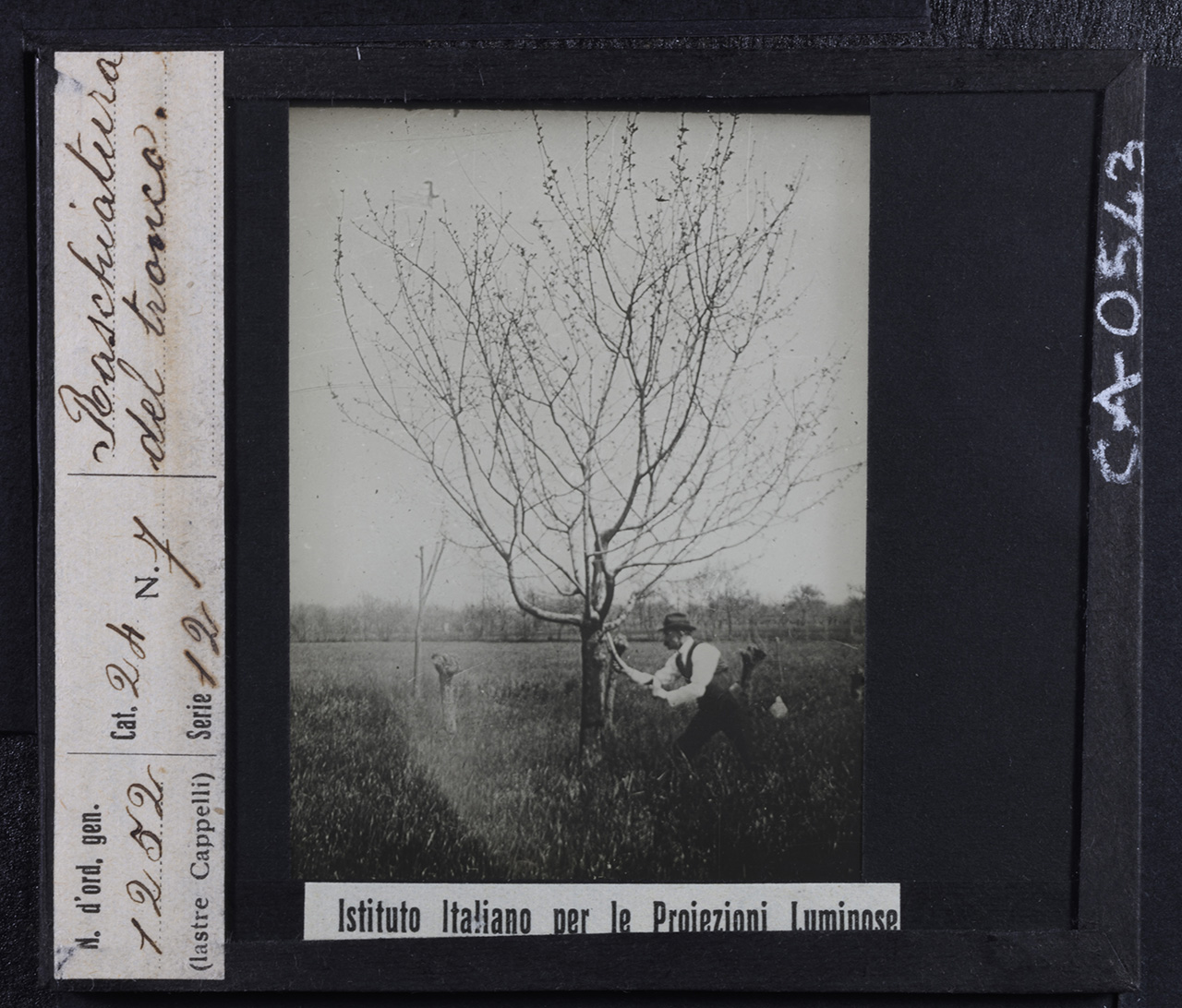 Lavoro agricolo - Persone - Agricoltori (positivo) di Istituto Italiano per le Proiezioni Luminose (prima metà XX)