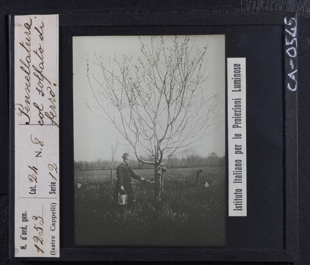 Lavoro agricolo - Persone - Religiosi (positivo) di Istituto Italiano per le Proiezioni Luminose (prima metà XX)