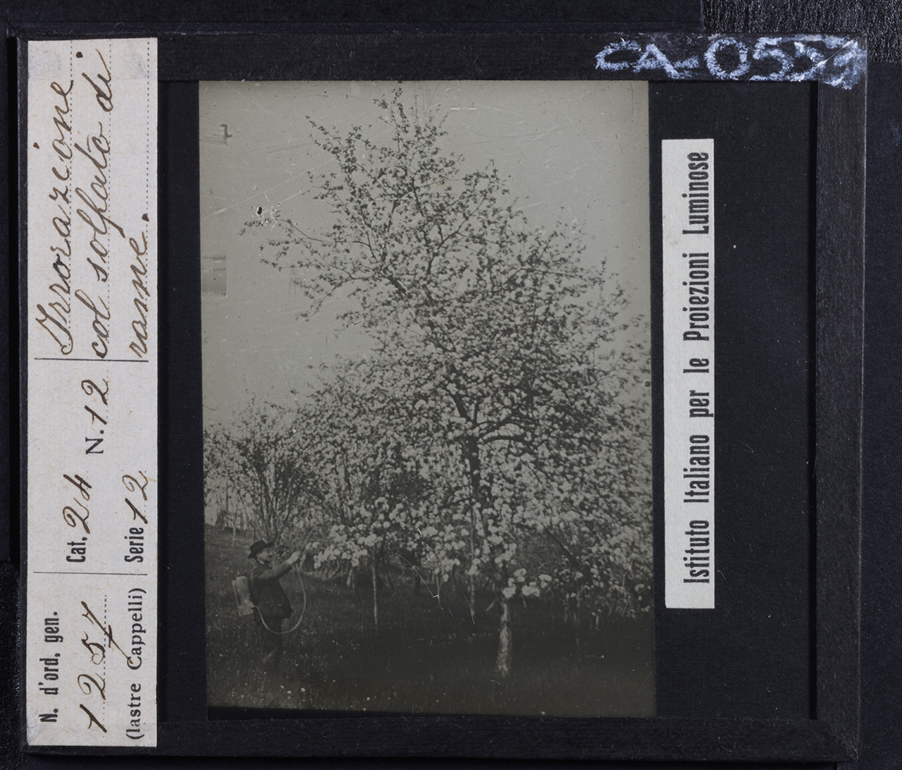 Persone - Agricoltori (positivo) di Istituto Italiano per le Proiezioni Luminose (prima metà XX)