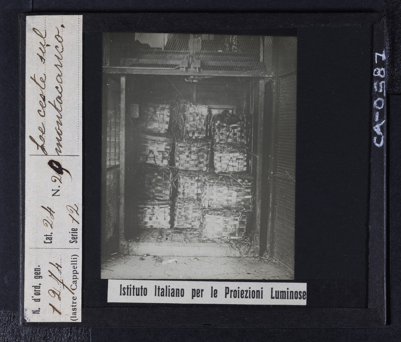 Frutta - Mele (positivo) di Istituto Italiano per le Proiezioni Luminose (prima metà XX)