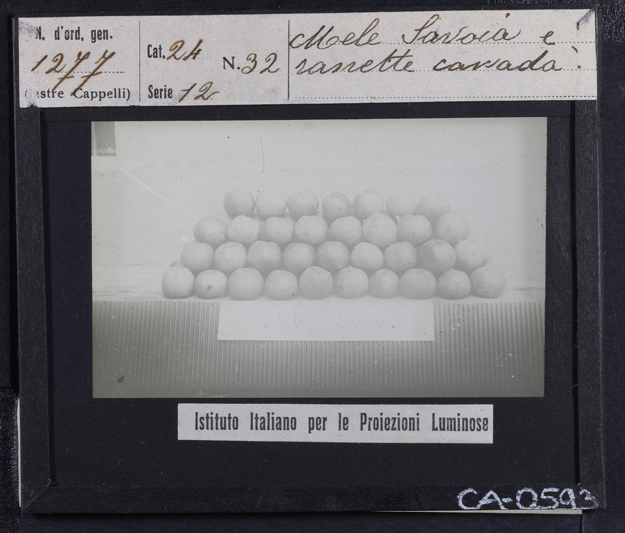 Agricoltura - Frutticoltura - Frutta (positivo) di Istituto Italiano per le Proiezioni Luminose (prima metà XX)