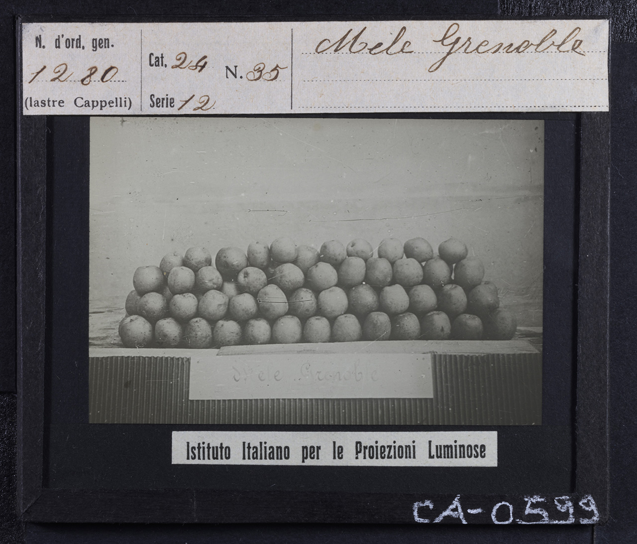 Frutticoltura - Aziende frutticole - Frutta – Mele - Mele Renette Grenoble (positivo) di Istituto Italiano per le Proiezioni Luminose (prima metà XX)