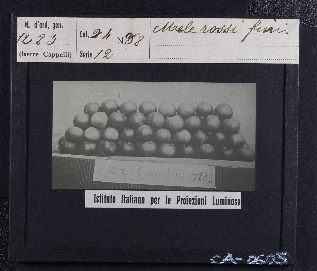 Frutticoltura - Aziende frutticole - Frutta - Mele - Mele Rossi Fini (positivo) di Istituto Italiano per le Proiezioni Luminose (prima metà XX)