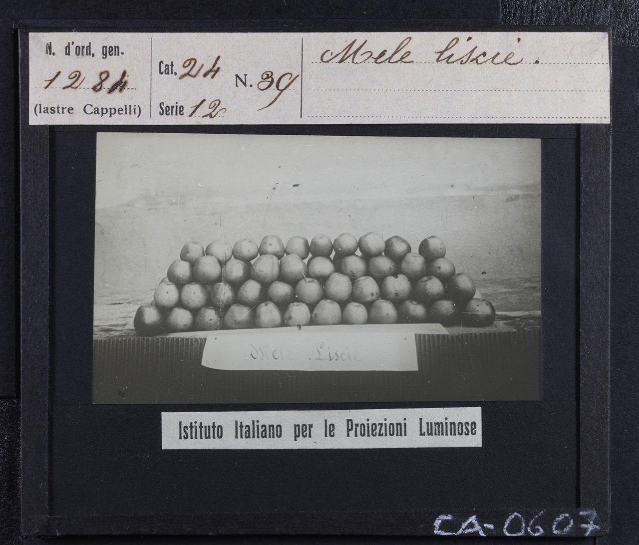 Frutticoltura - Aziende frutticole - Frutta - Mele (positivo) di Istituto Italiano per le Proiezioni Luminose (prima metà XX)