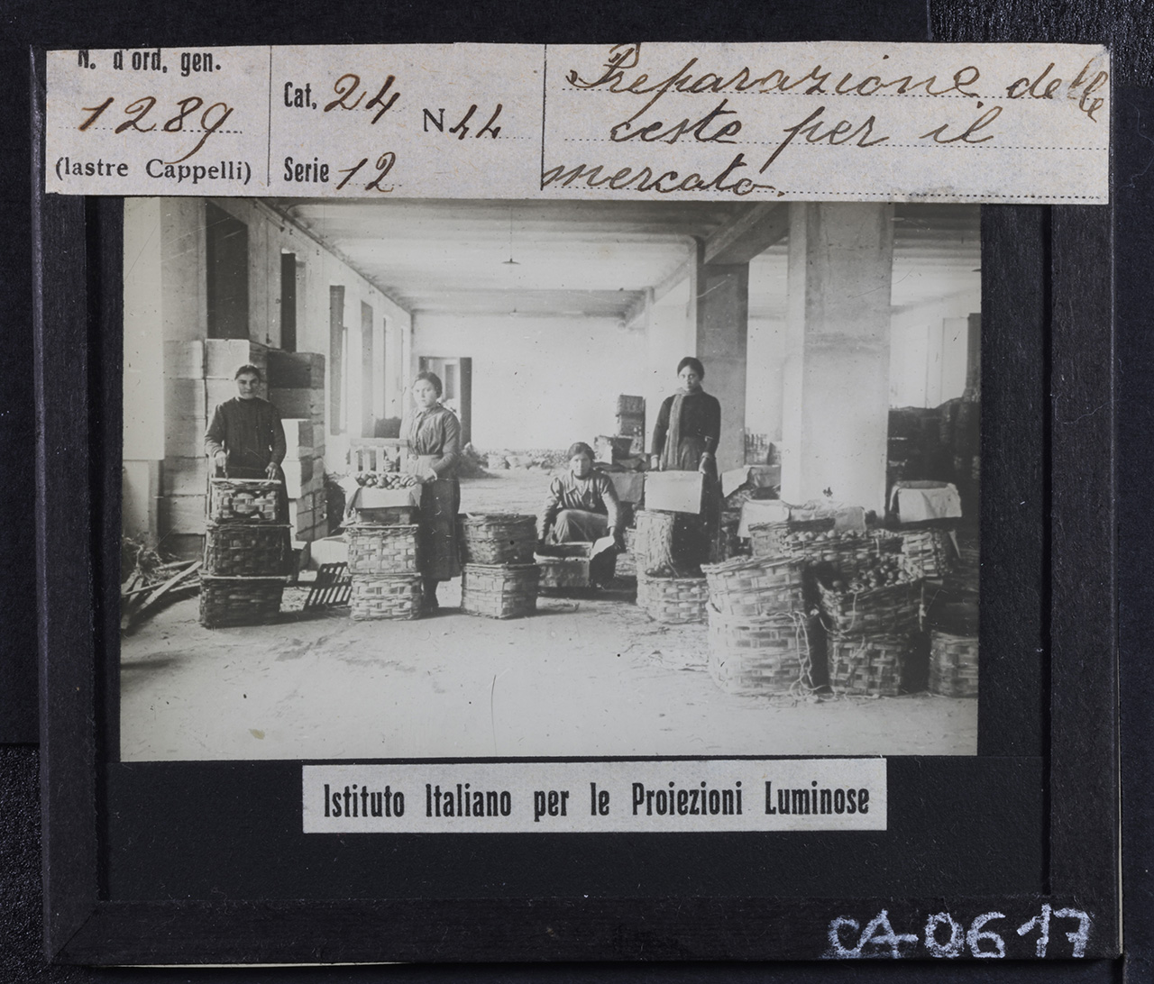 Frutticoltura - Frutta - Mele (positivo) di Istituto Italiano per le Proiezioni Luminose (prima metà XX)