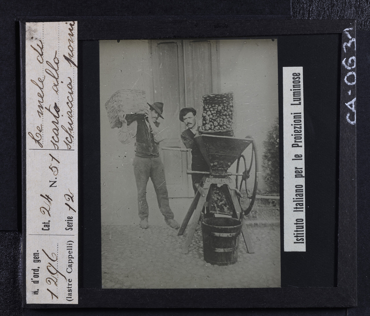 Persone - Agricoltori - Lavoratori agricoli (positivo) di Istituto Italiano per le Proiezioni Luminose (prima metà XX)