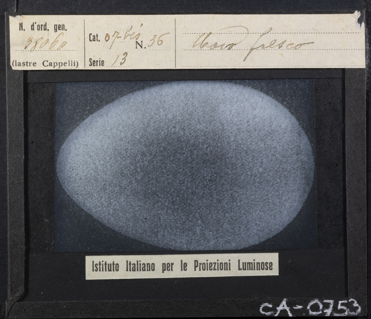 Uova - Animali ovipari (positivo) di Istituto Italiano per le Proiezioni Luminose (XX)